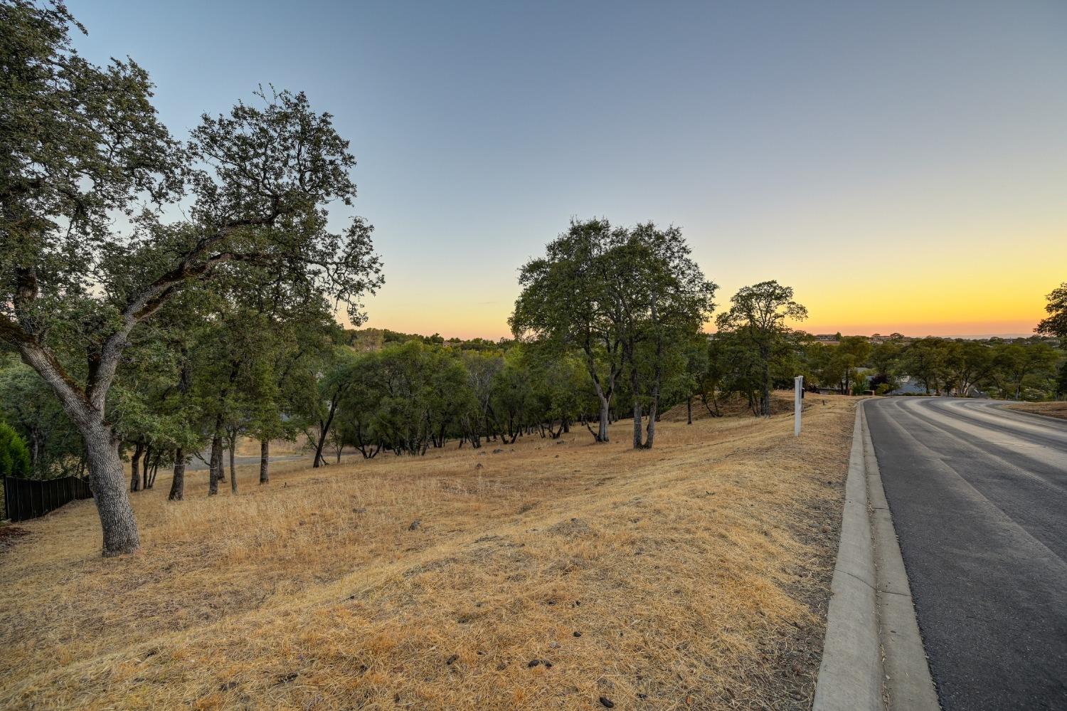 5211 Da Vinci Drive, El Dorado Hills, California, 95762, United States, ,Land,For Sale,5211 Da Vinci Drive,1573000