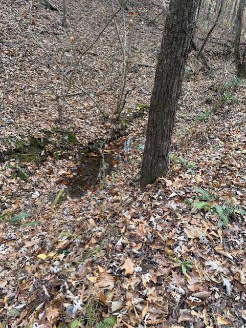 Talking Rock, Georgia, 30175, United States, ,Land,For Sale,1995157