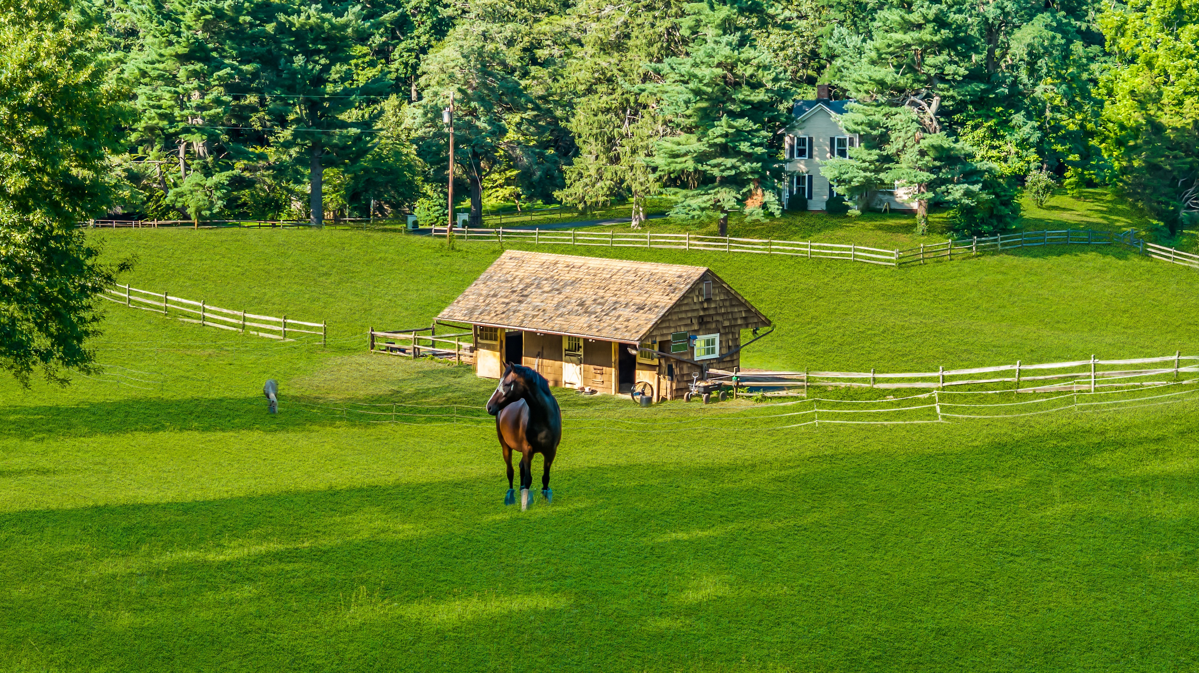  Tower Hill Farm - 物件實景