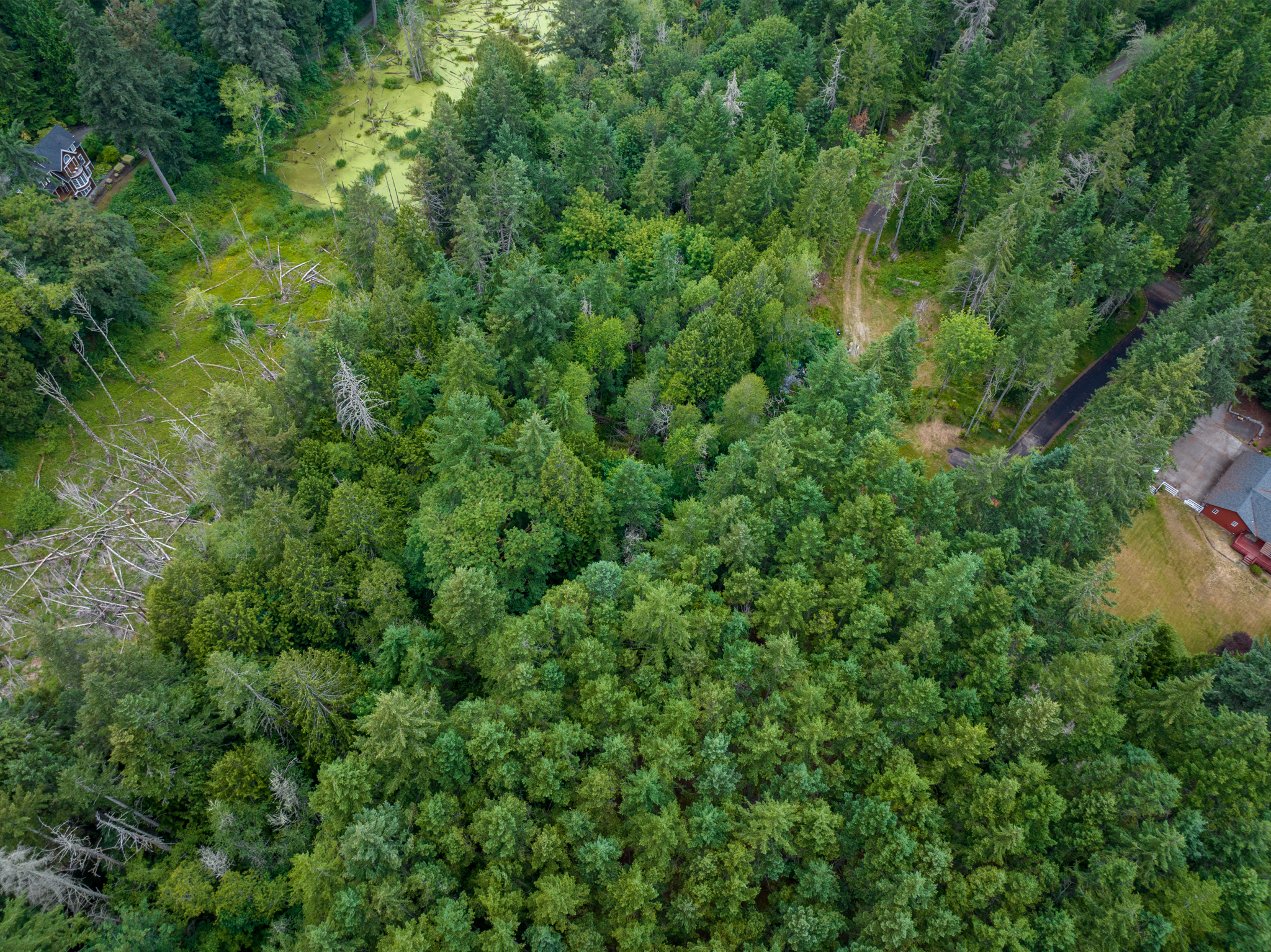  Lot B Bucsit Lane Northeast, Bainbridge Island, WA 98110 - 物件實景