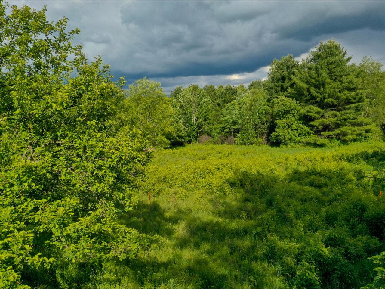 51 Rainy View Lane, Essex, Vermont, 05452, United States, ,Land,For Sale,51 Rainy View Lane,1446441