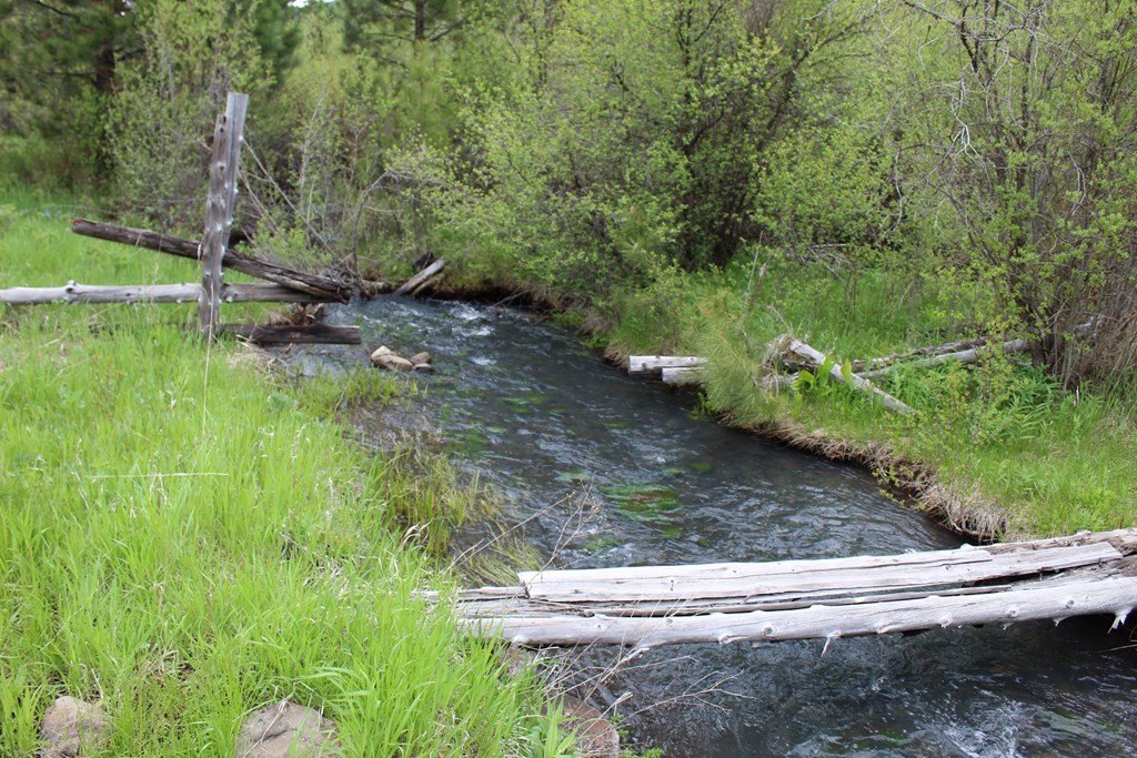 New Meadows, Idaho, 83654, United States, 1 Bedroom Bedrooms, ,1 BathroomBathrooms,Residential,For Sale,1974065