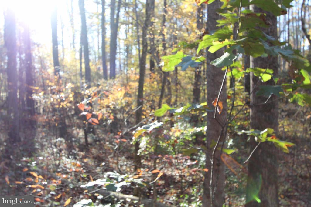 Fredericksburg, Virginia, 22406, United States, ,Residential,For Sale,1935241