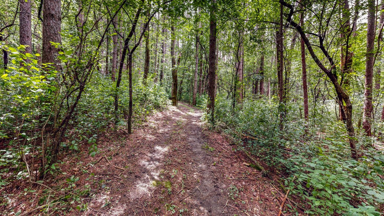 Tbd 75th Street NW, Oronoco Twp, Minnesota, 55901, United States, ,Land,For Sale,Tbd 75th Street NW,1626085