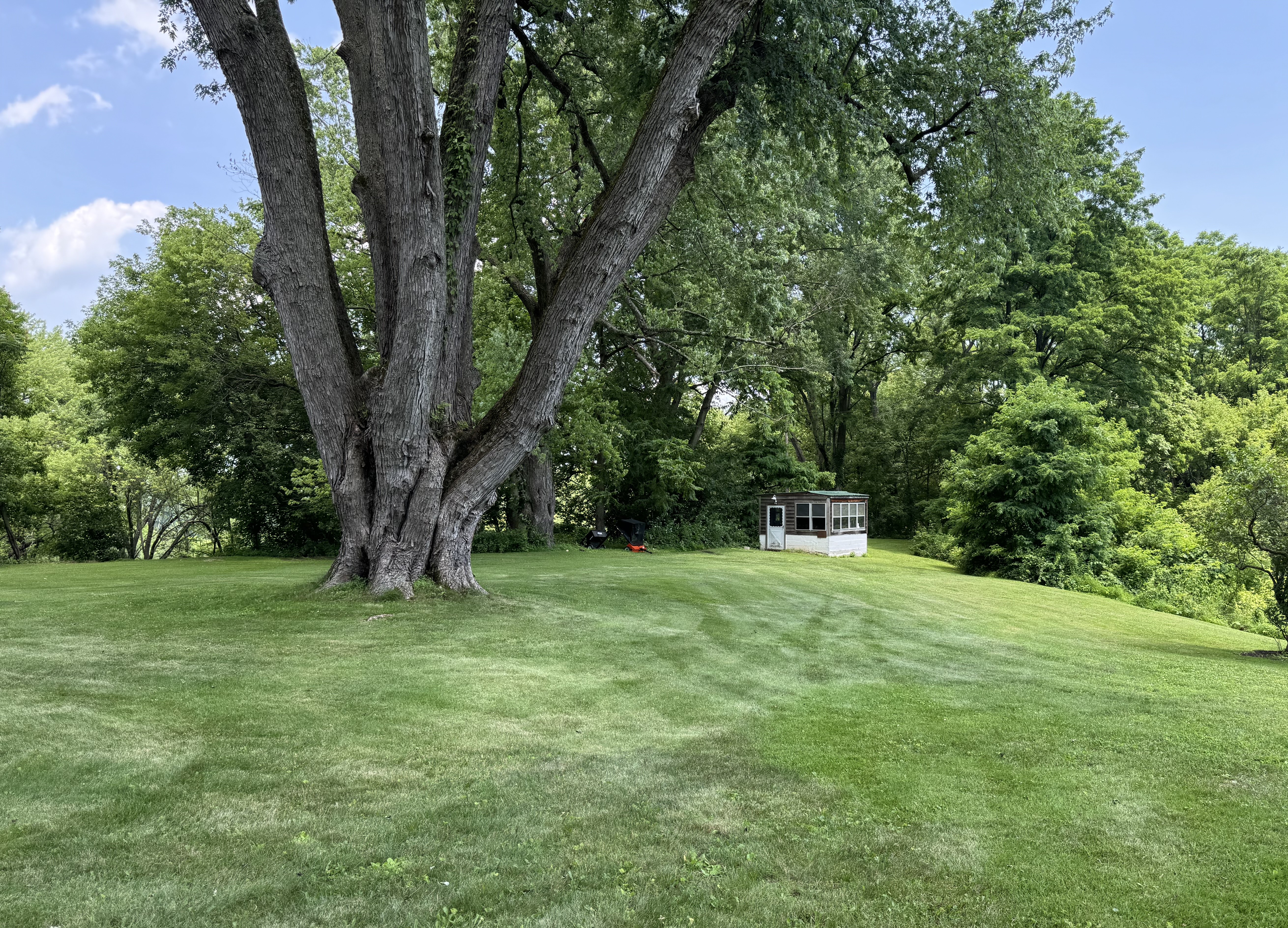 Catskill, New York, 12414, United States, 6 Bedrooms Bedrooms, ,3 BathroomsBathrooms,Residential,For Sale,1983582