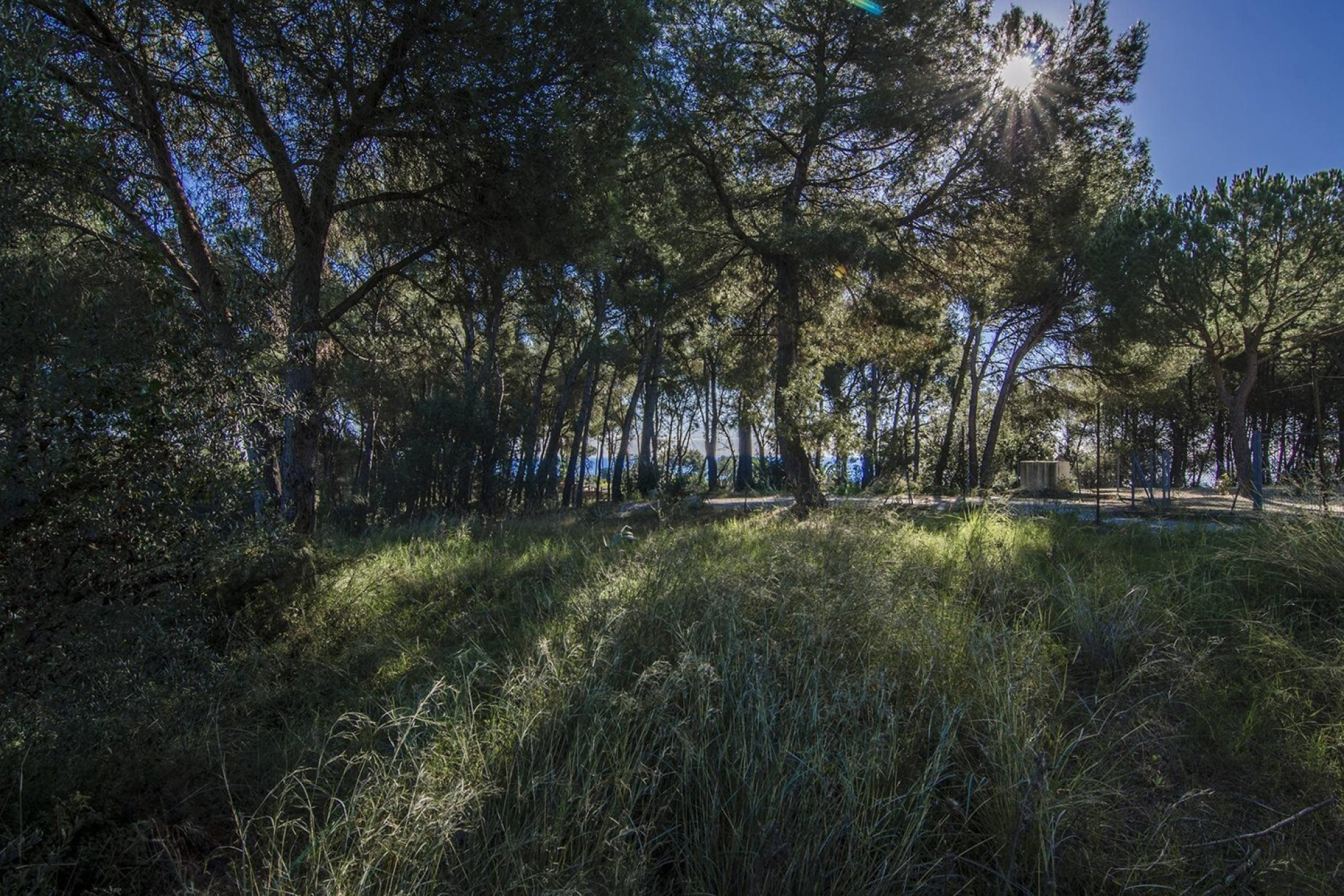  Land and building project in Llavaneras - 物件實景