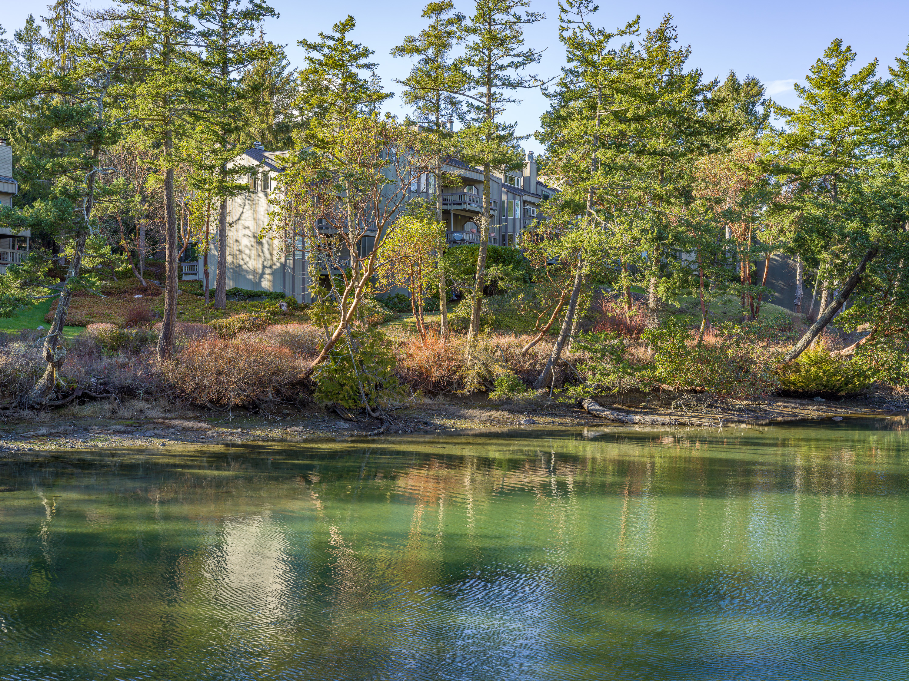  Tranquil Roche Harbor Retreat - 物件實景