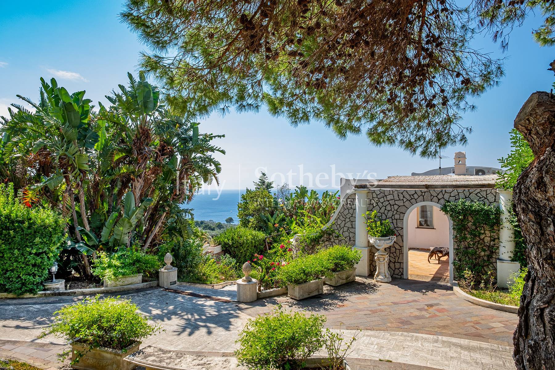  Villa with swimming pool in Anacapri - 物件實景