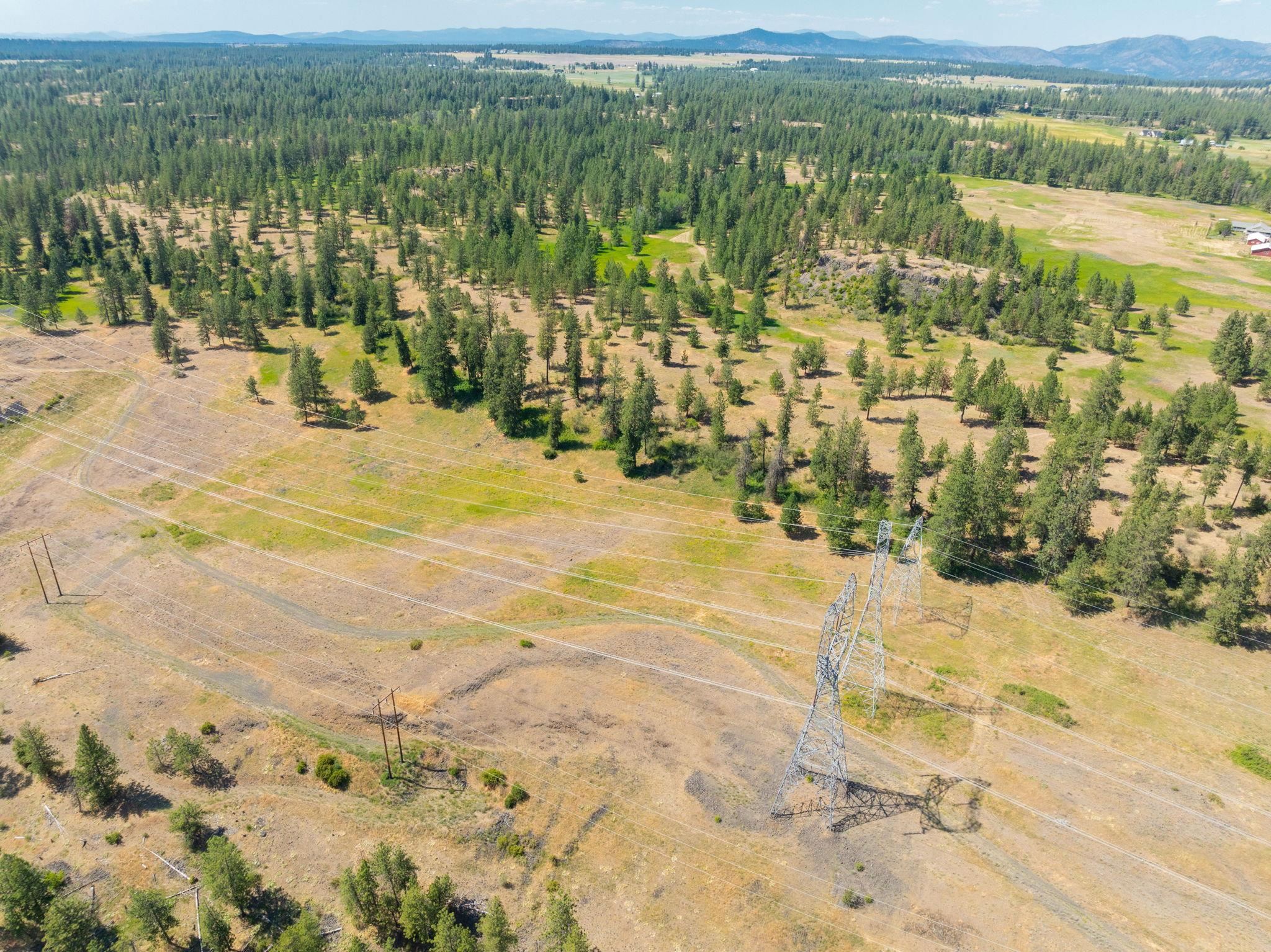 Nine Mile Falls, Washington, 99026, United States, ,Land,For Sale,1960887