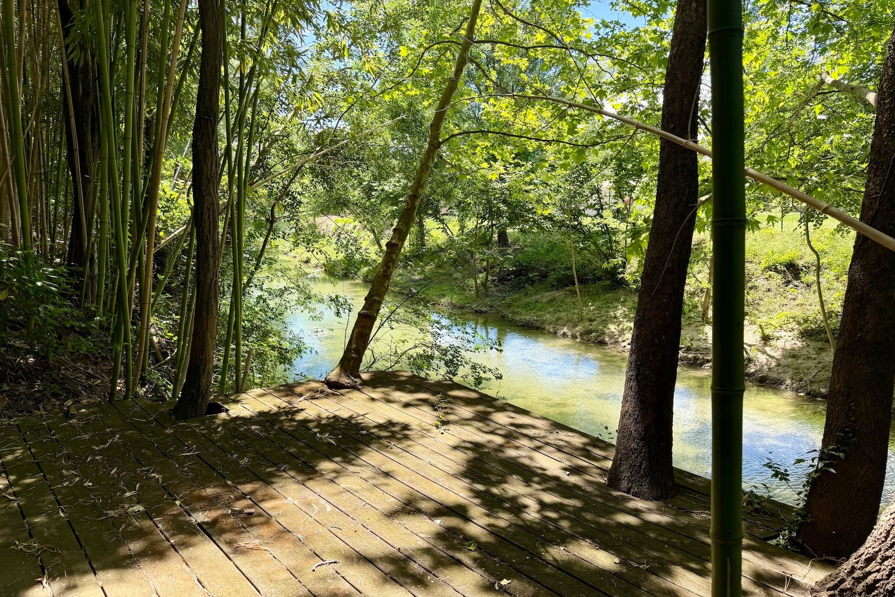  Charming country house with swimming pond and landscaped grounds, 6 km from Uzès - 物件實景
