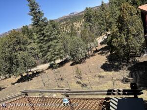 Ruidoso, New Mexico, 88345, United States, 3 Bedrooms Bedrooms, ,3 BathroomsBathrooms,Residential,For Sale,1770584