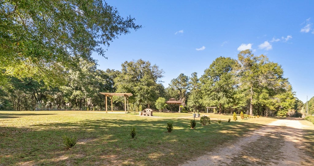 Midland City, Alabama, 36350, United States, 4 Bedrooms Bedrooms, ,3 BathroomsBathrooms,Residential,For Sale,1989153