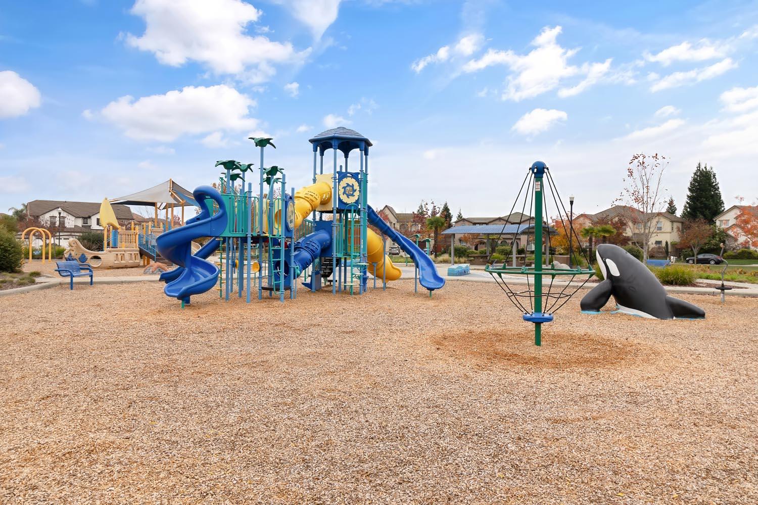 Elk Grove, California, 95757, United States, 5 Bedrooms Bedrooms, ,5 BathroomsBathrooms,Residential,For Sale,2001811