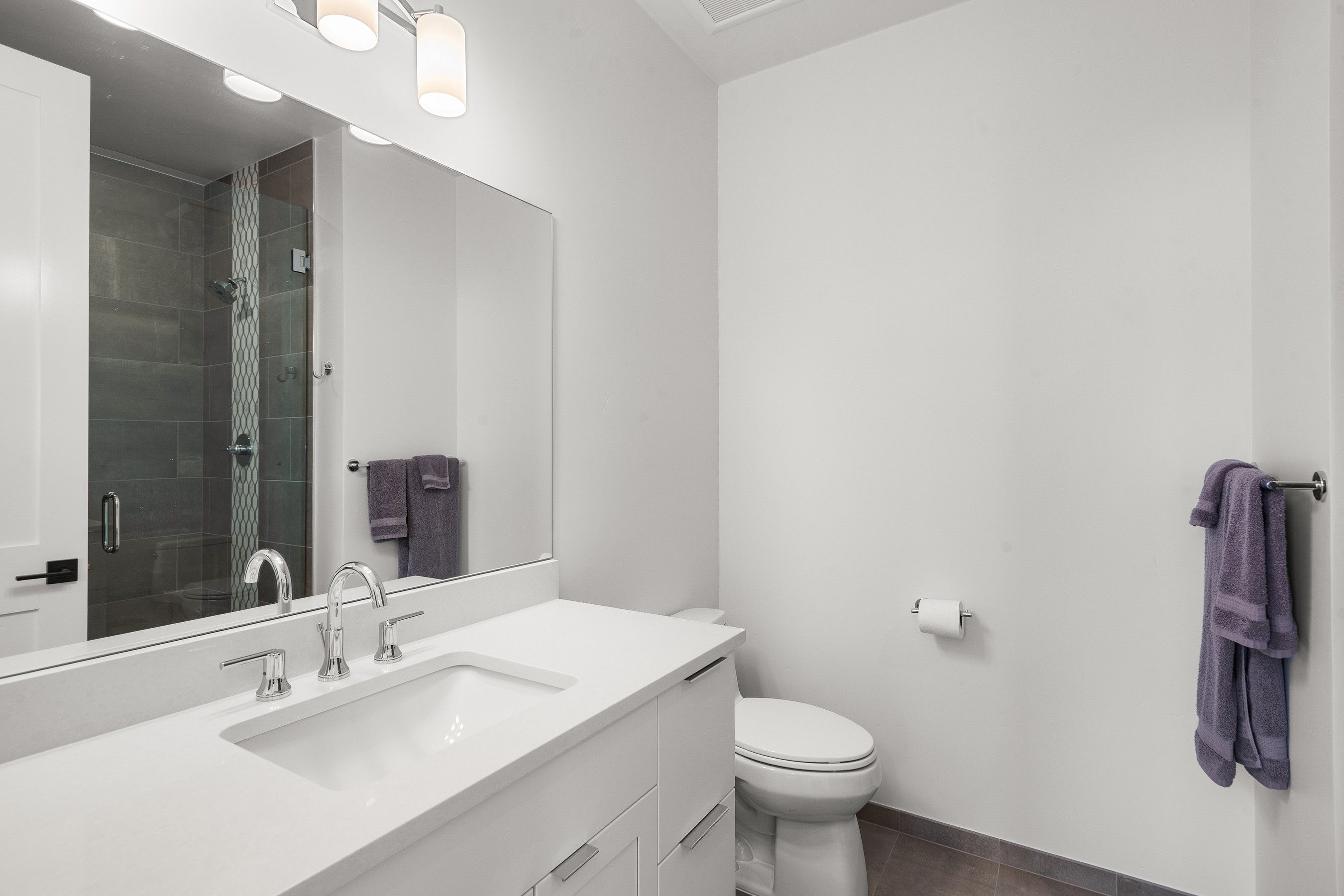  303 Golden Bear Drive, Carbondale, CO 81623 - 物件實景
