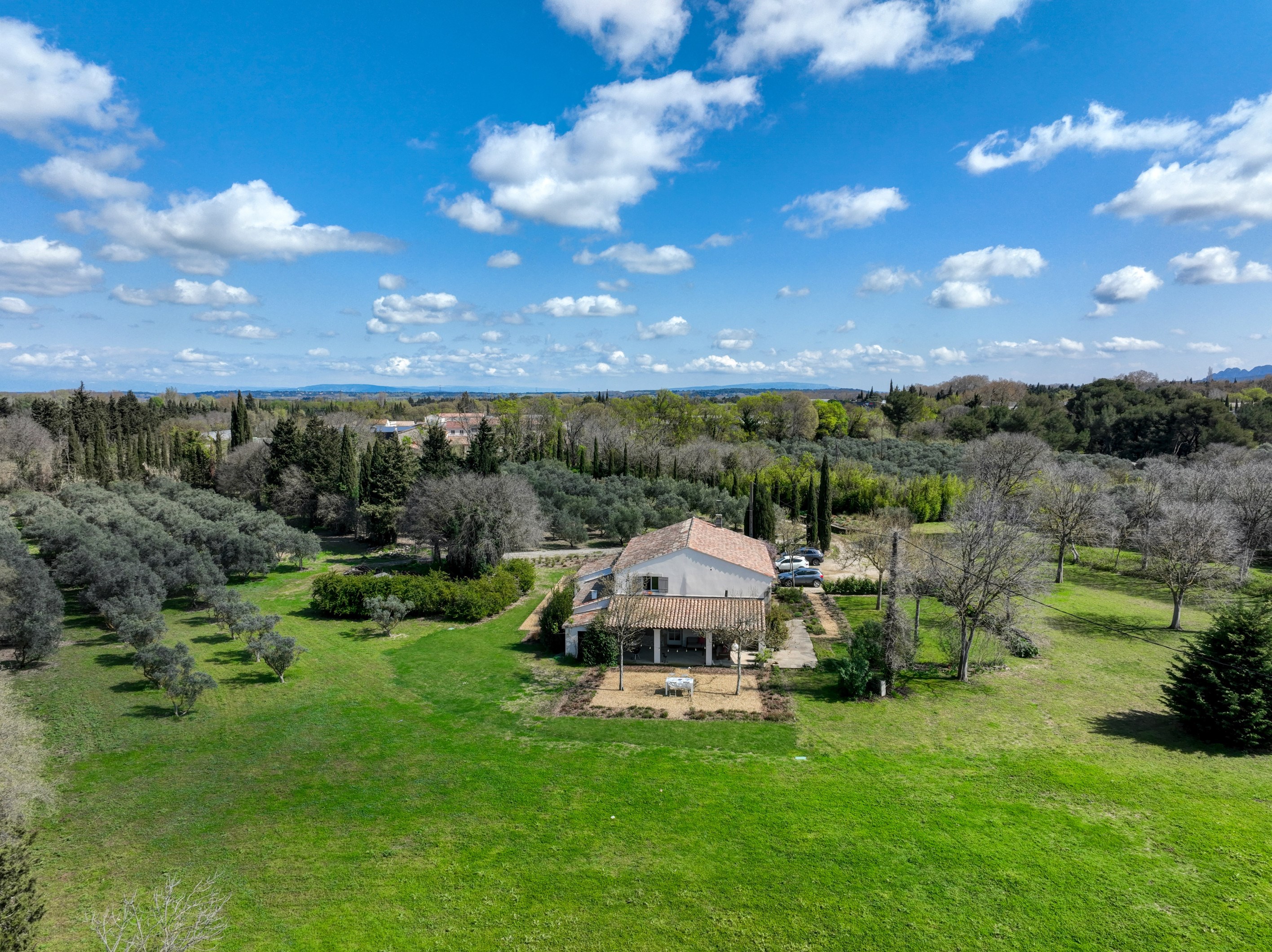  Stone mas set within a private olive grove in Saint-Rémy-de-Provence - 物件實景