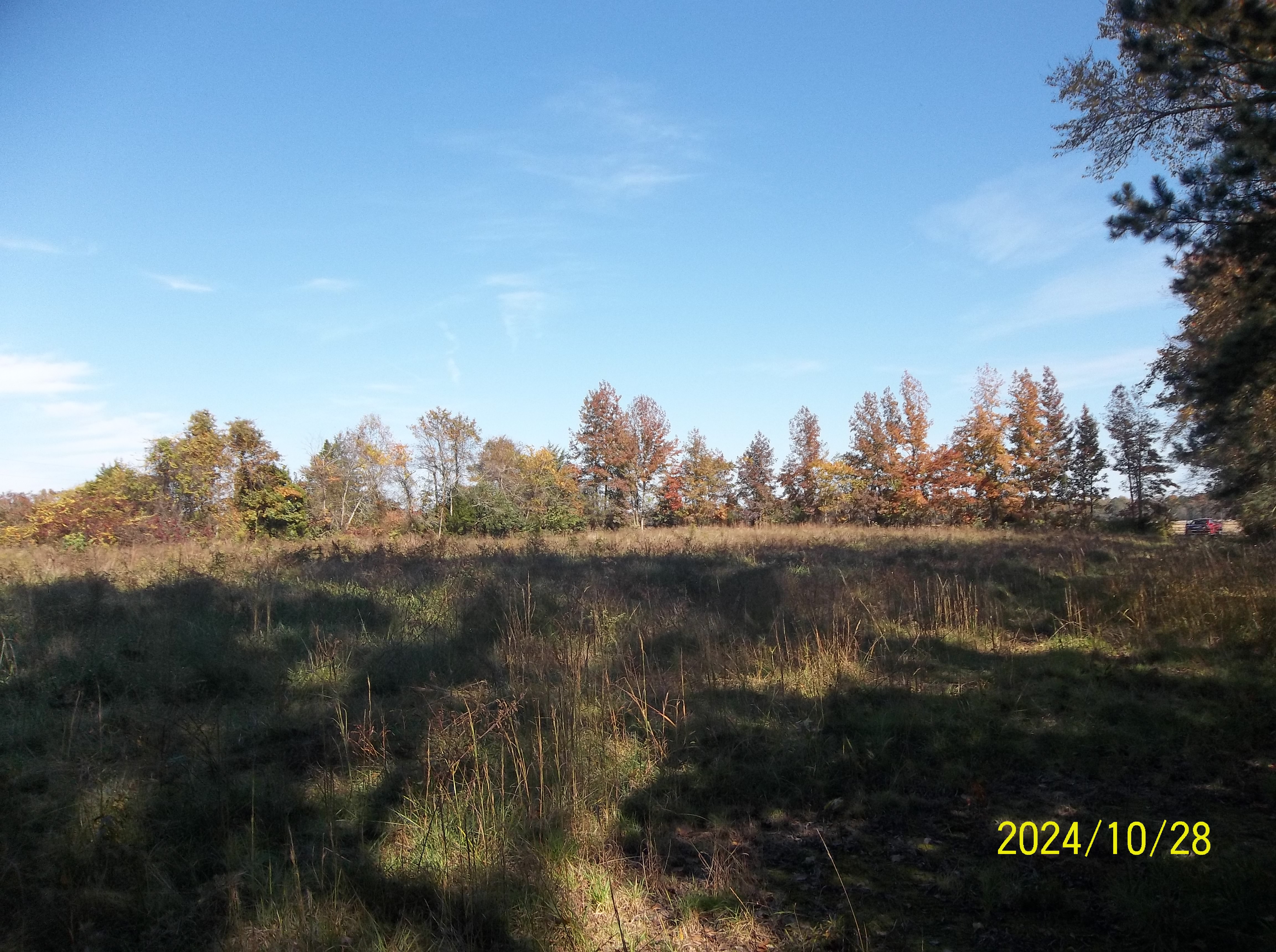 Drewryville, Virginia, 23844, United States, ,Residential,For Sale,1924271