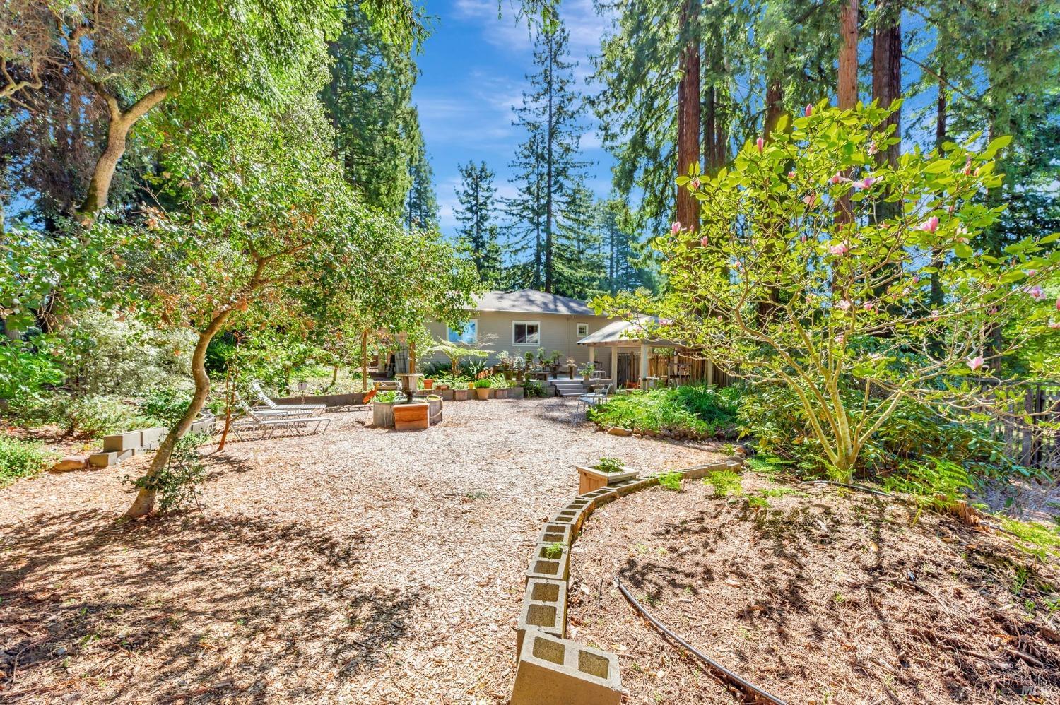 Sebastopol, California, 95472, United States, 4 Bedrooms Bedrooms, ,3 BathroomsBathrooms,Residential,For Sale,1989317