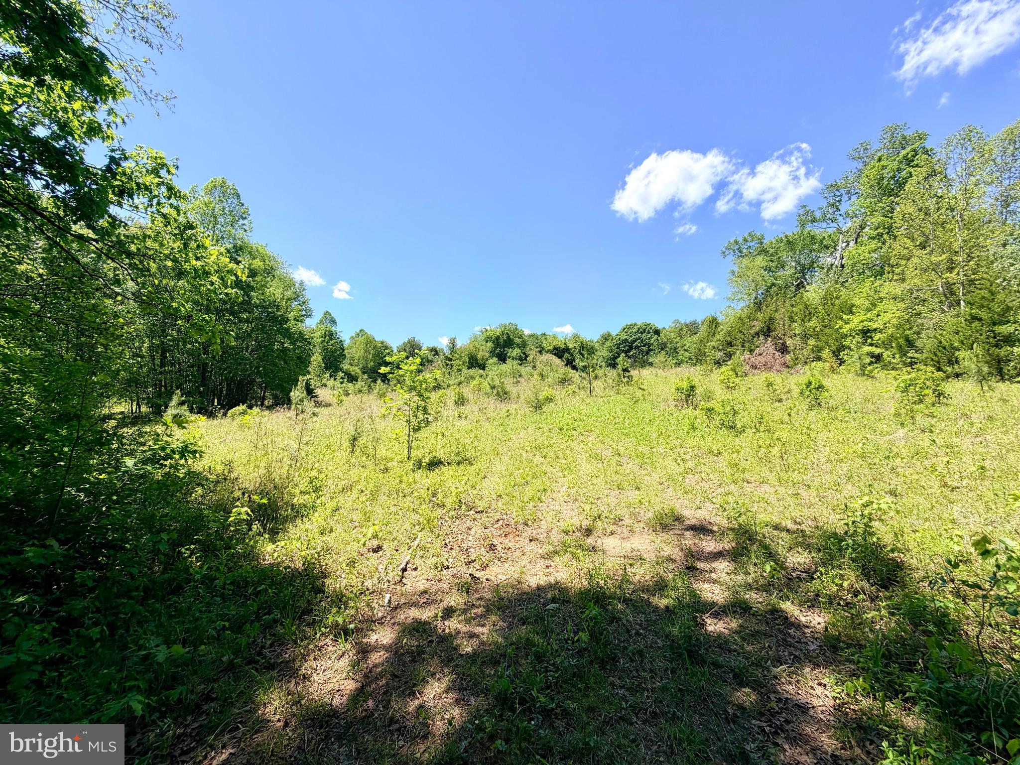 Unionville, Virginia, 22567, United States, 3 Bedrooms Bedrooms, ,3 BathroomsBathrooms,Residential,For Sale,2045278