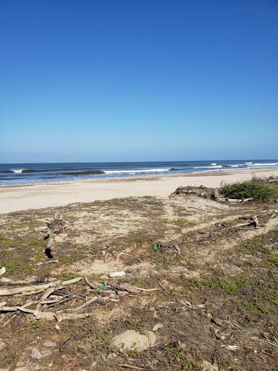 Tecuala, Nayarit, 63466, Mexico, 1 Bedroom Bedrooms, ,Residential,For Sale,1827763