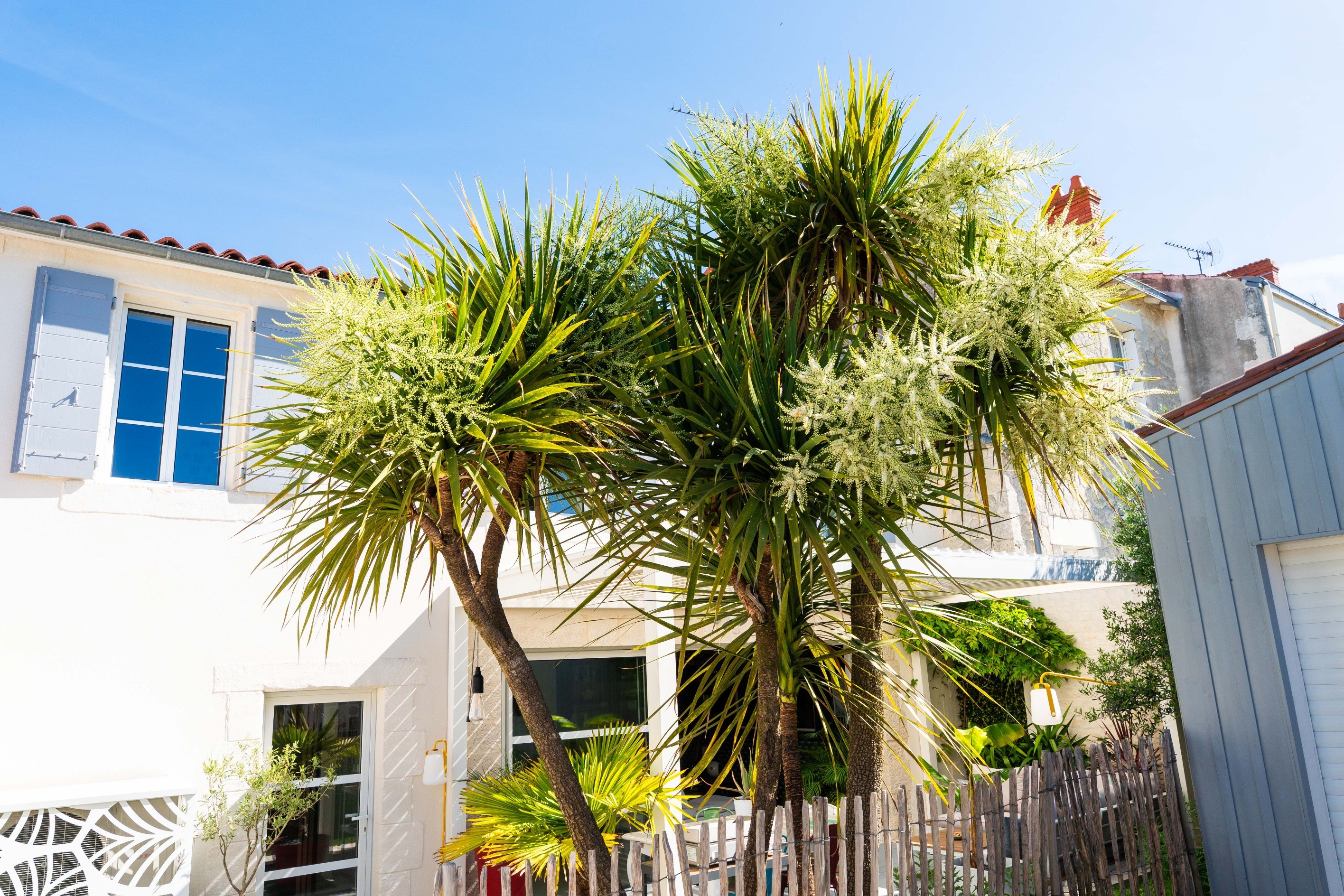  A charming, renovated house in the heart of La Genette - 物件實景