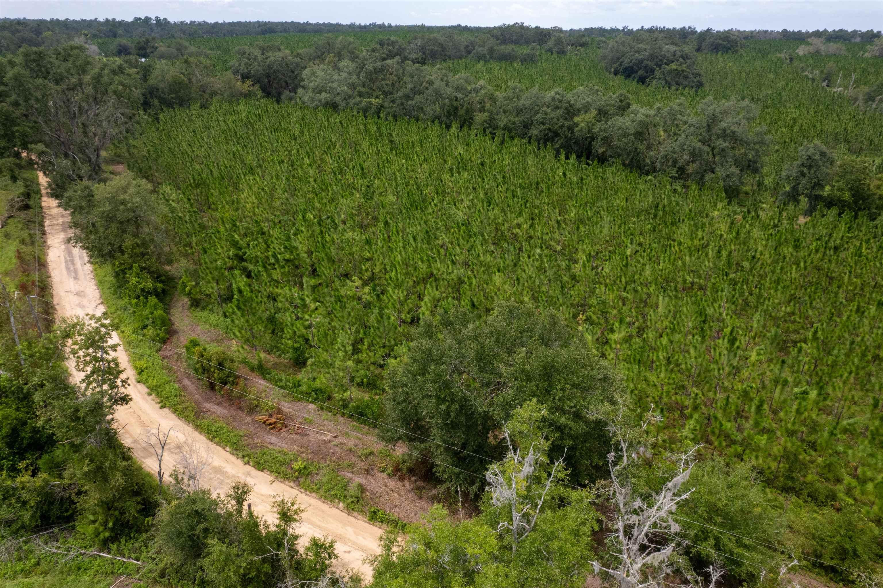 xxx Ne Geranium Street, Madison, Florida, 32340, United States, ,Land,For Sale,xxx Ne Geranium Street,1671968