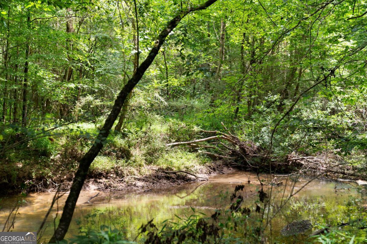 Rome, Georgia, 30165, United States, ,Land,For Sale,1890078