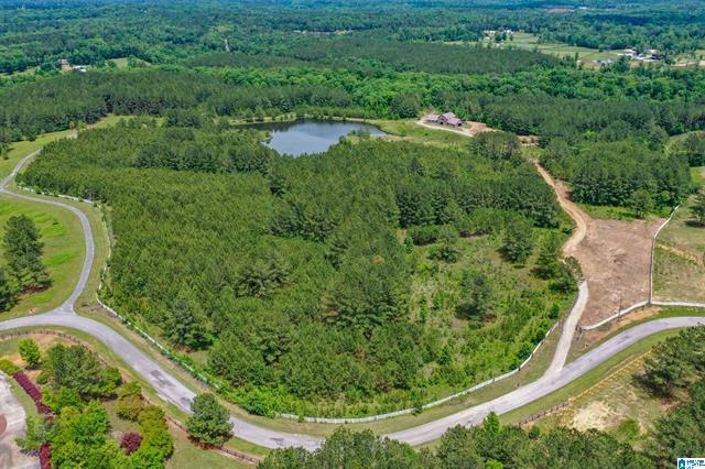 Columbiana, Alabama, 35051, United States, 3 Bedrooms Bedrooms, ,2 BathroomsBathrooms,Residential,For Sale,1975847