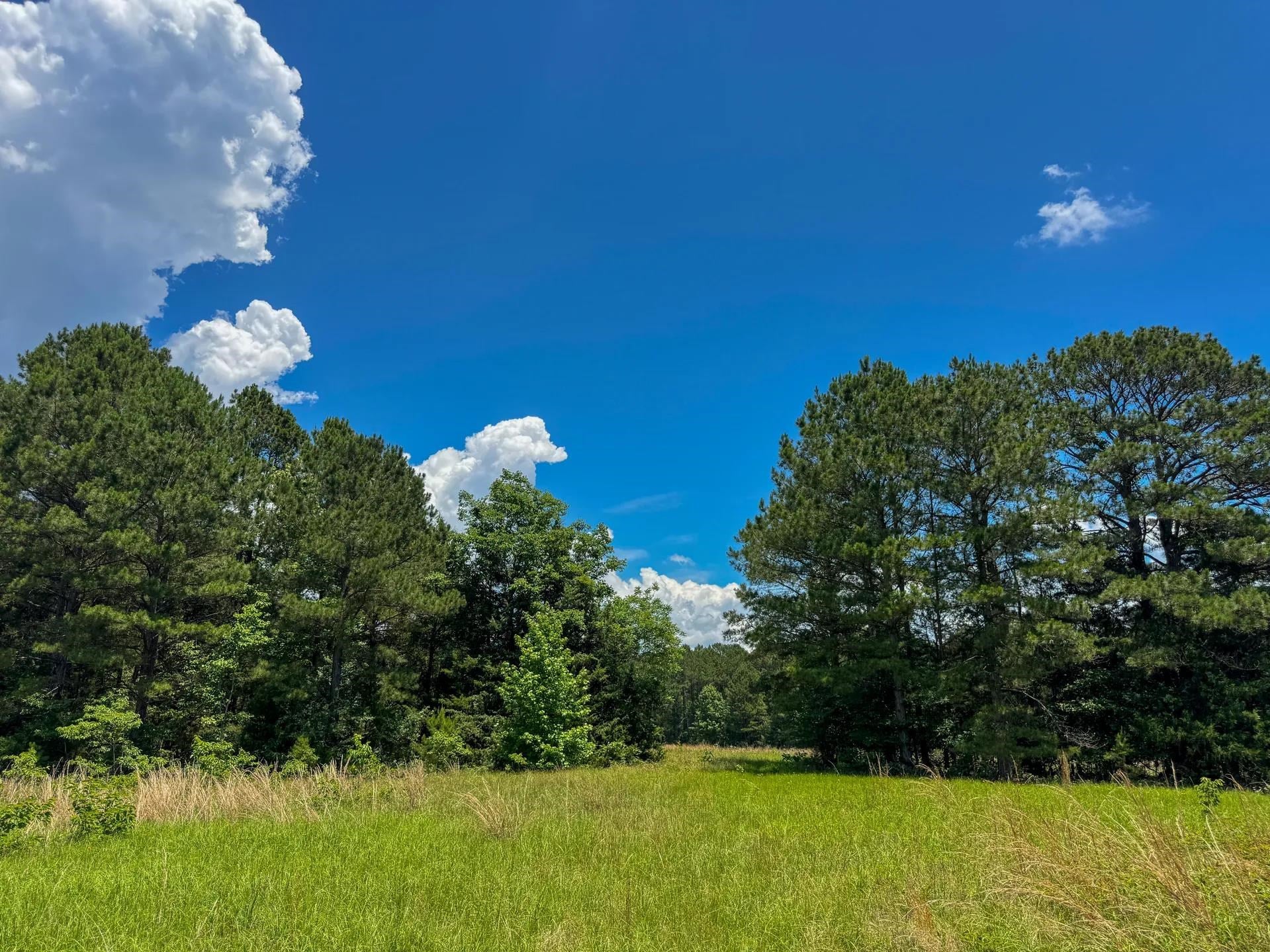 Douglassville, Texas, 75560, United States, ,Land,For Sale,2048006