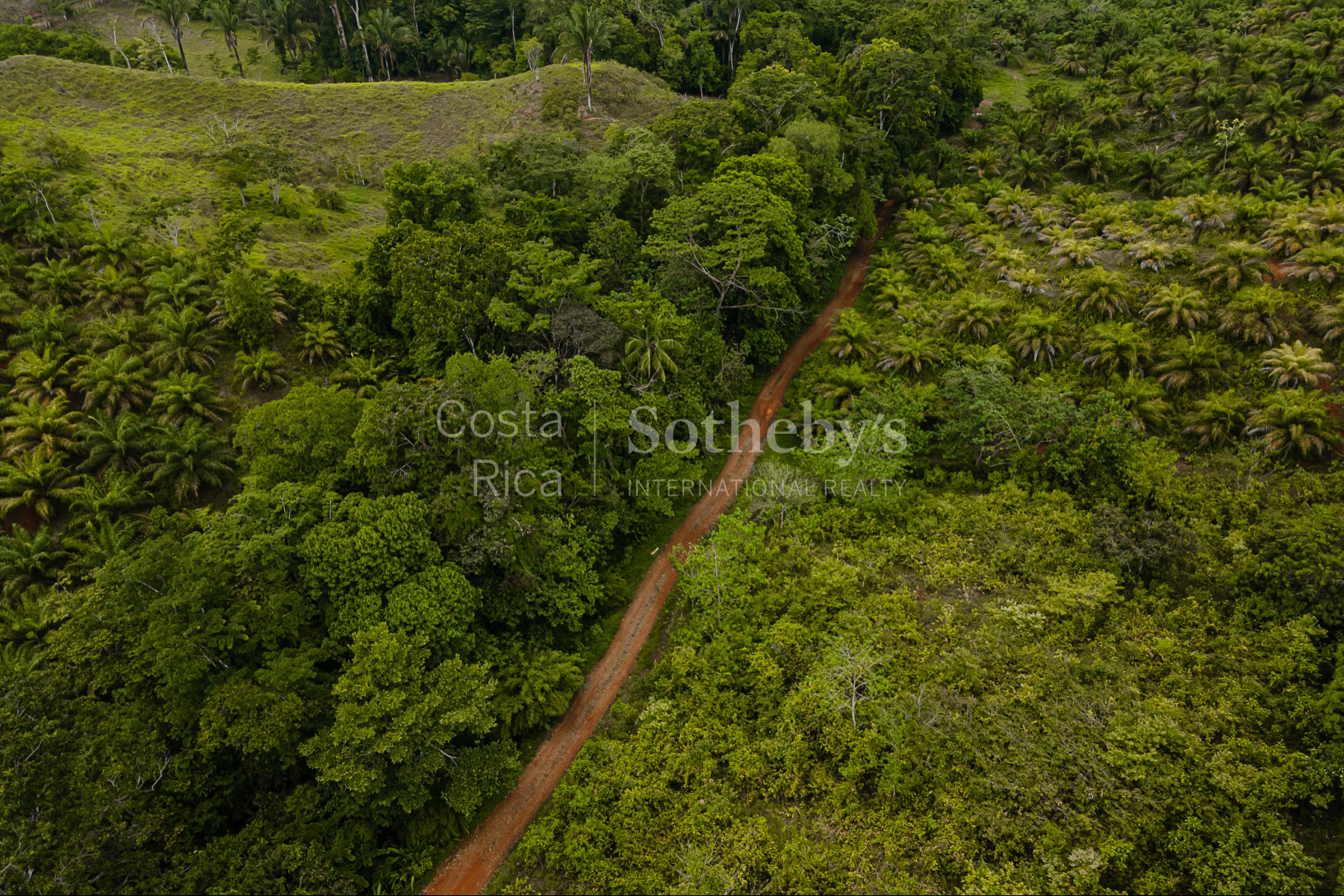  Ocean and River Views in Pristine South Costa Rica - 物件實景