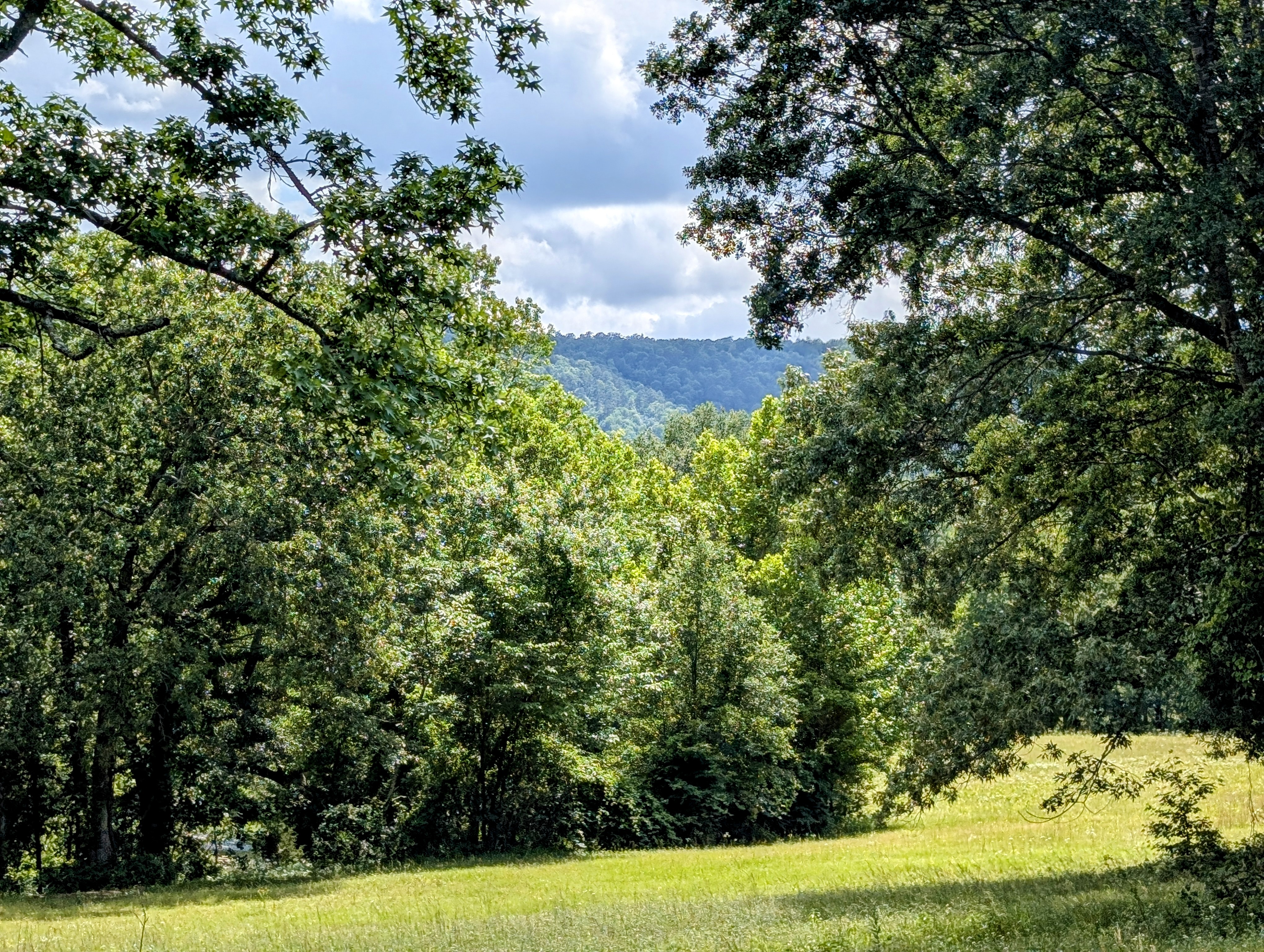 Smithville, Oklahoma, 74957, United States, ,Land,For Sale,1978835