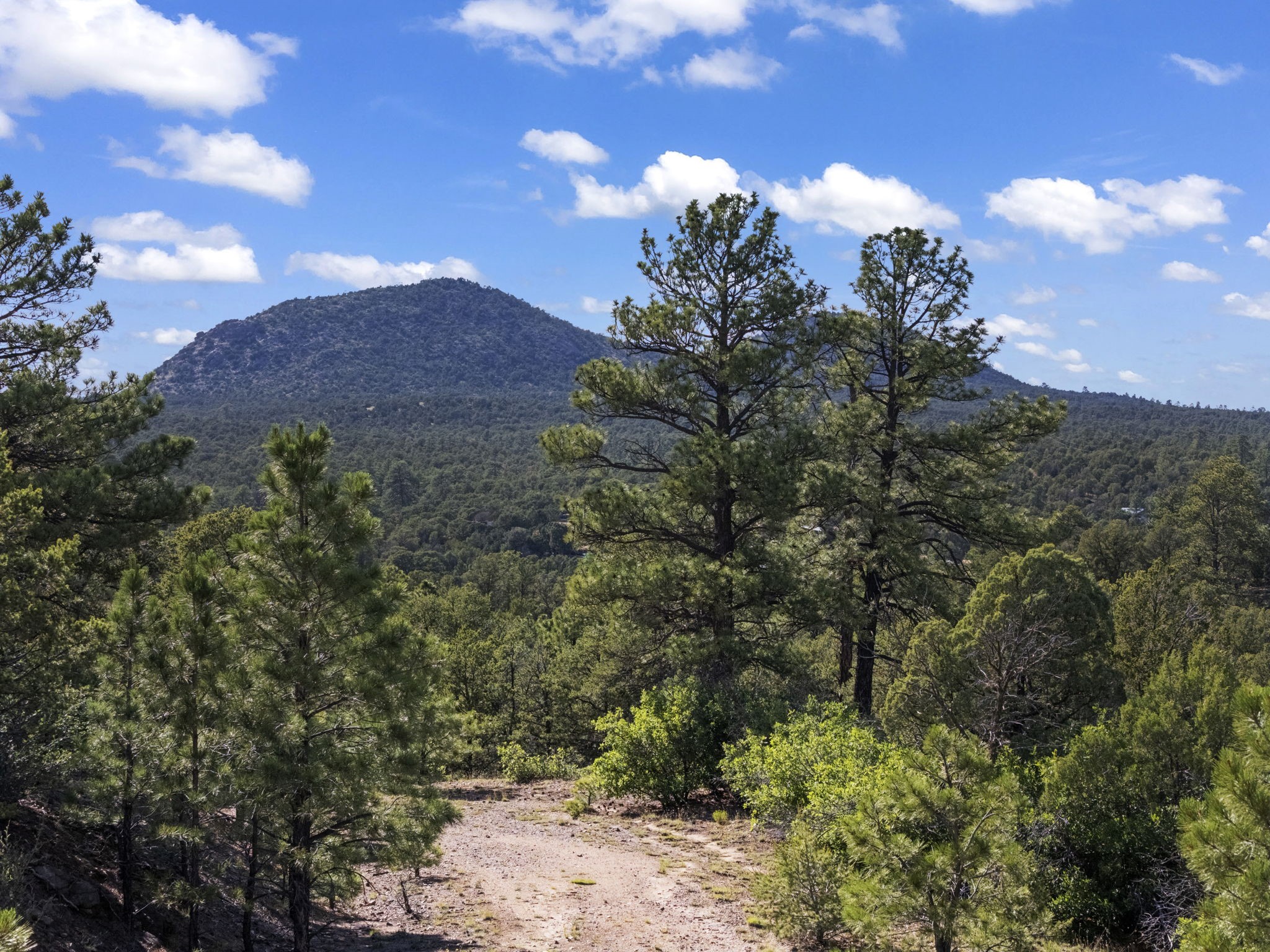  Lots B-E, 1-5 Lone Pine Ridge - 物件實景