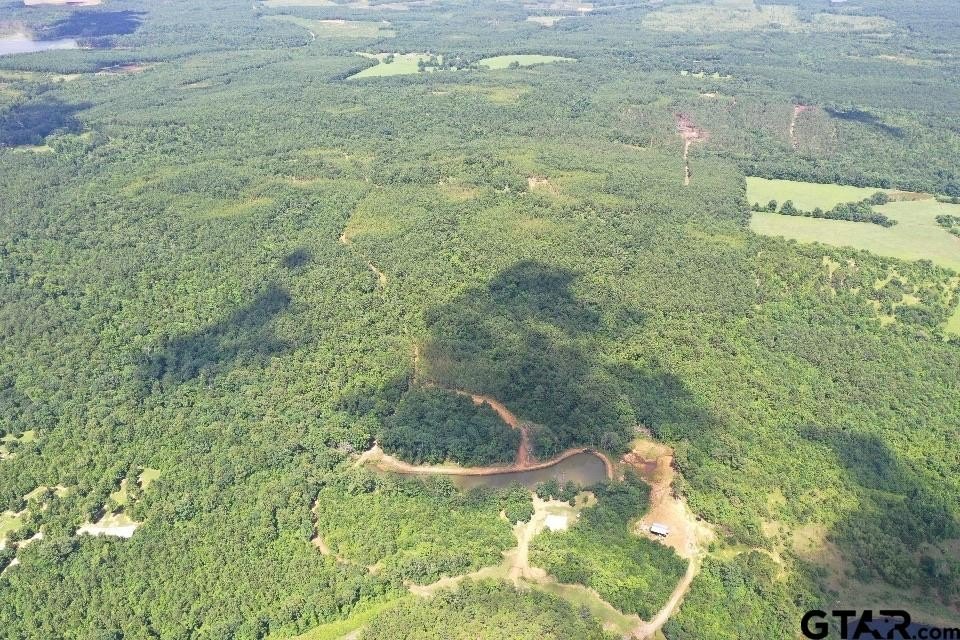 Lone Star, Texas, 75668, United States, 2 Bedrooms Bedrooms, ,1 BathroomBathrooms,Residential,For Sale,1979709