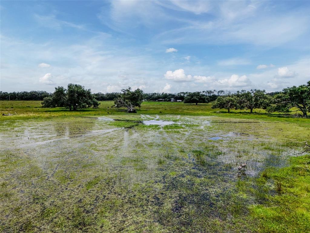 Myakka City, Florida, 34251, United States, ,Land,For Sale,1908306