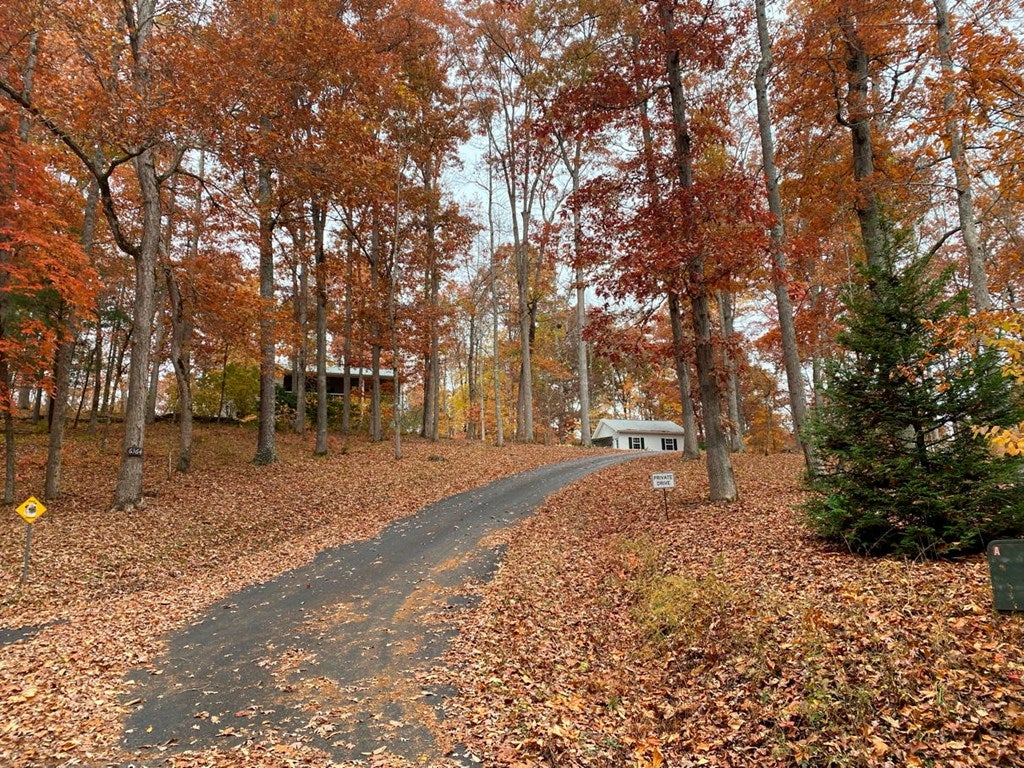 Young Harris, Georgia, 30582, United States, 3 Bedrooms Bedrooms, ,3 BathroomsBathrooms,Residential,For Sale,1847113
