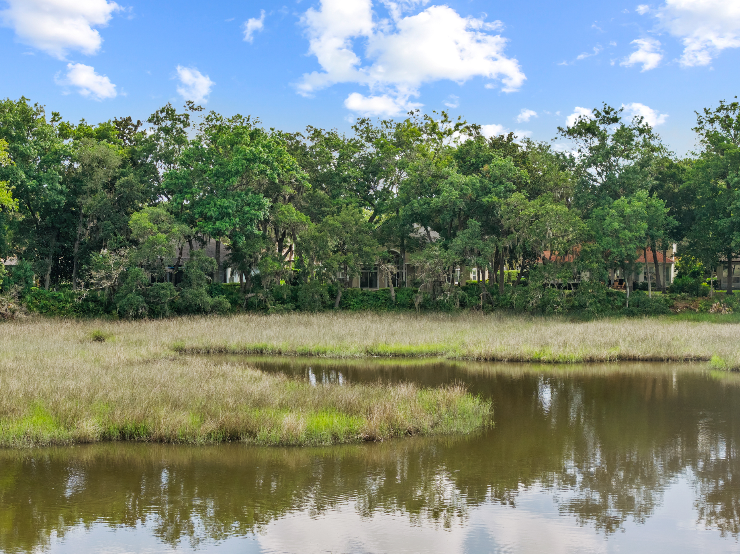  1556 Harrington Park Drive, Jacksonville, FL, 32225 - 物件實景