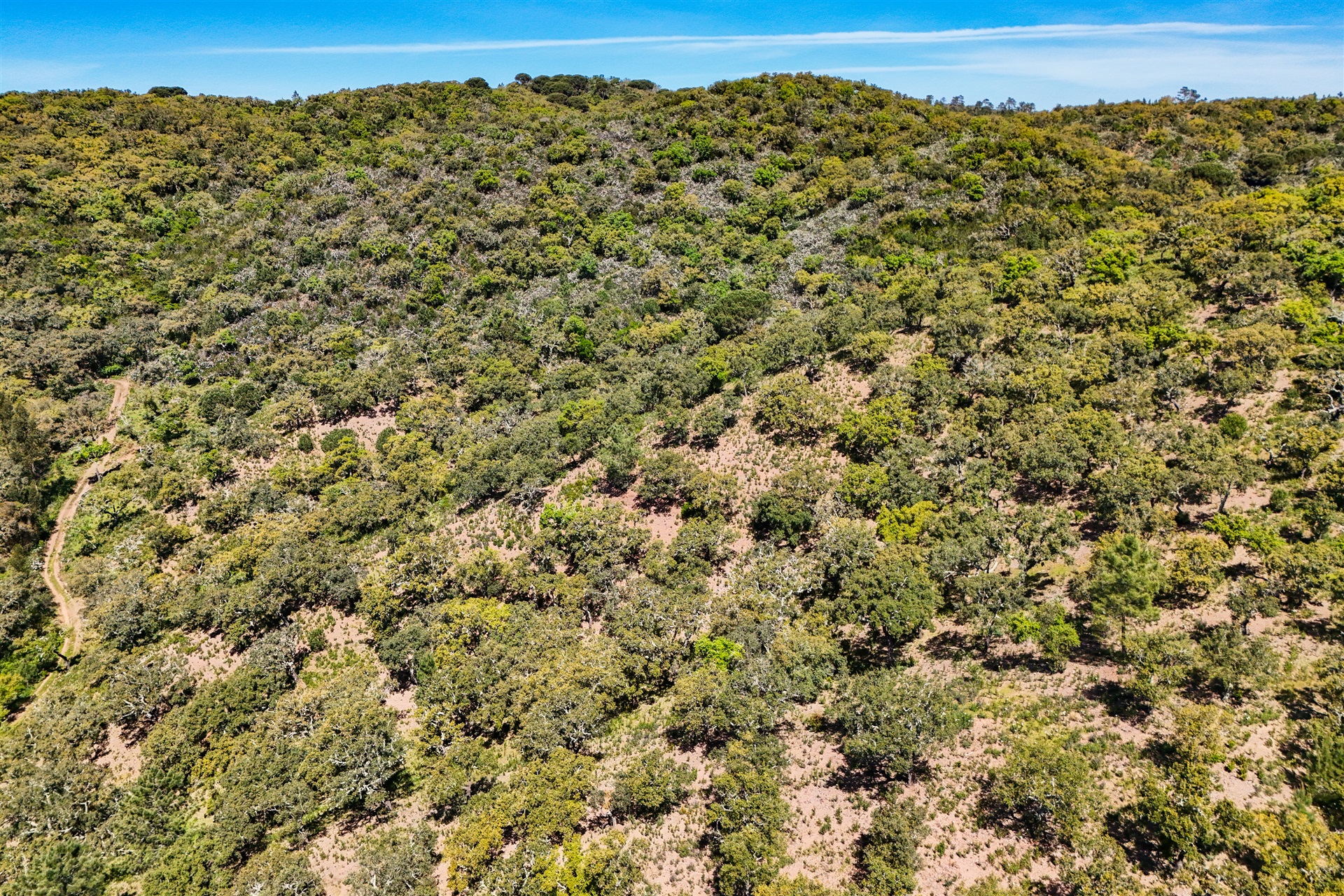  Real estate land for Sale - 物件實景