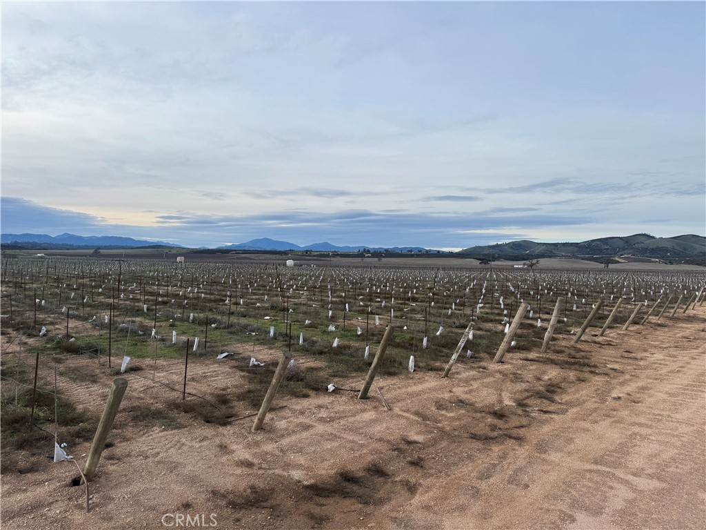 Lockwood, California, 93932, United States, ,Land,For Sale,2006086