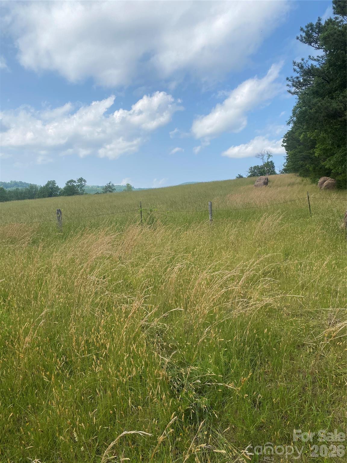 Hendersonville, North Carolina, 28792, United States, ,Land,For Sale,2010421