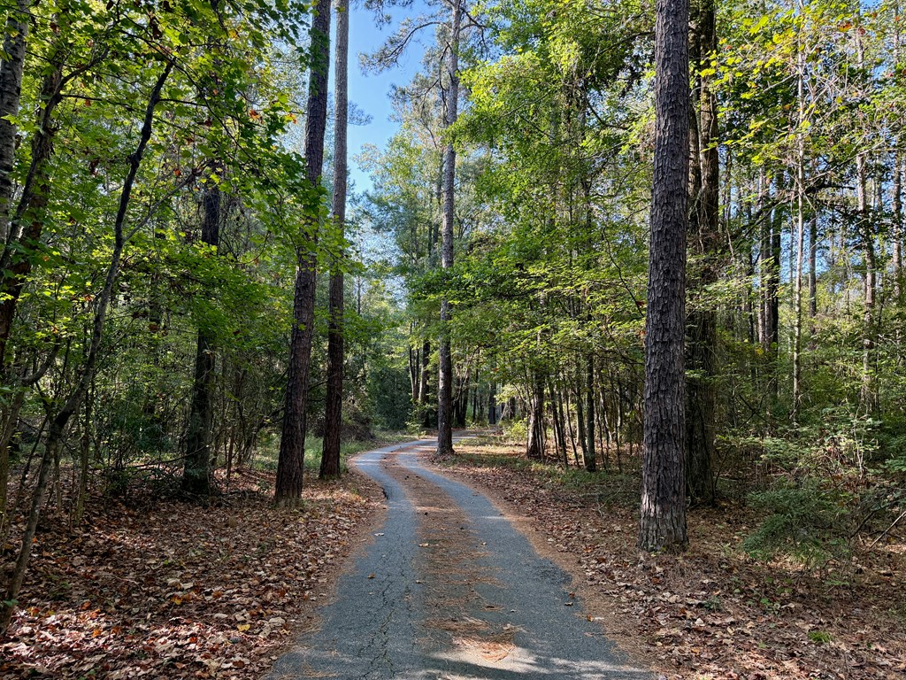Fortson, Georgia, 31808, United States, 5 Bedrooms Bedrooms, ,5 BathroomsBathrooms,Residential,For Sale,1960480