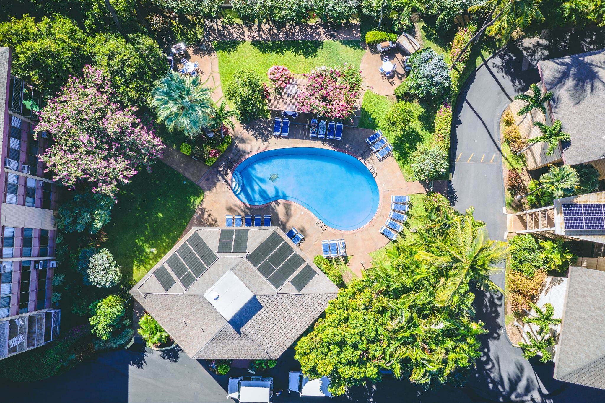 Kihei, Hawaii, 96753, United States, 2 Bedrooms Bedrooms, ,2 BathroomsBathrooms,Residential,For Sale,1993192