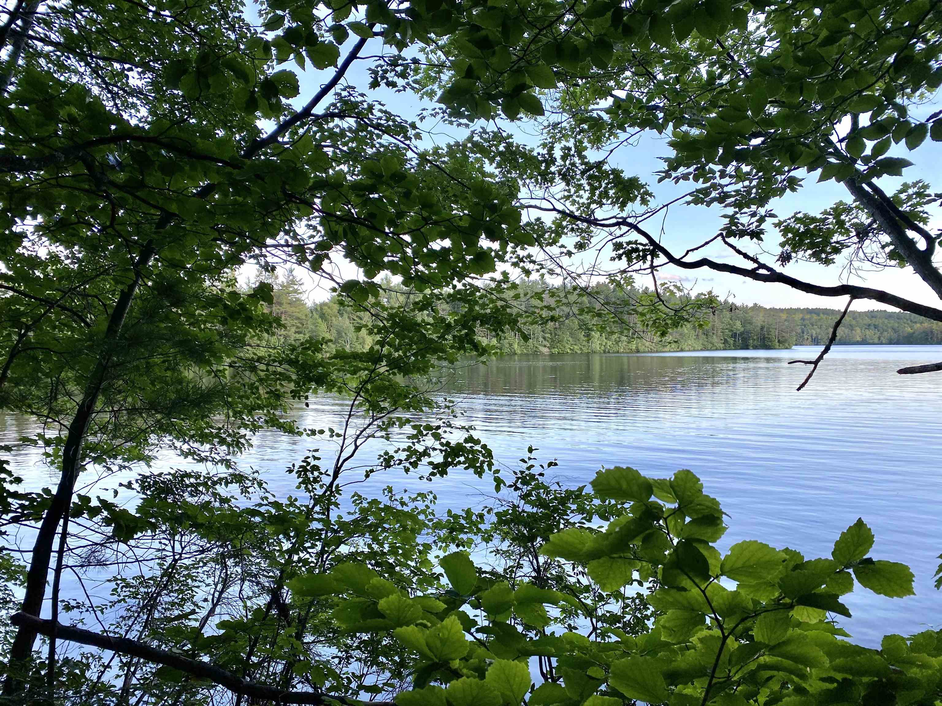 Springfield, New Hampshire, 03284, United States, ,Residential,For Sale,1941786