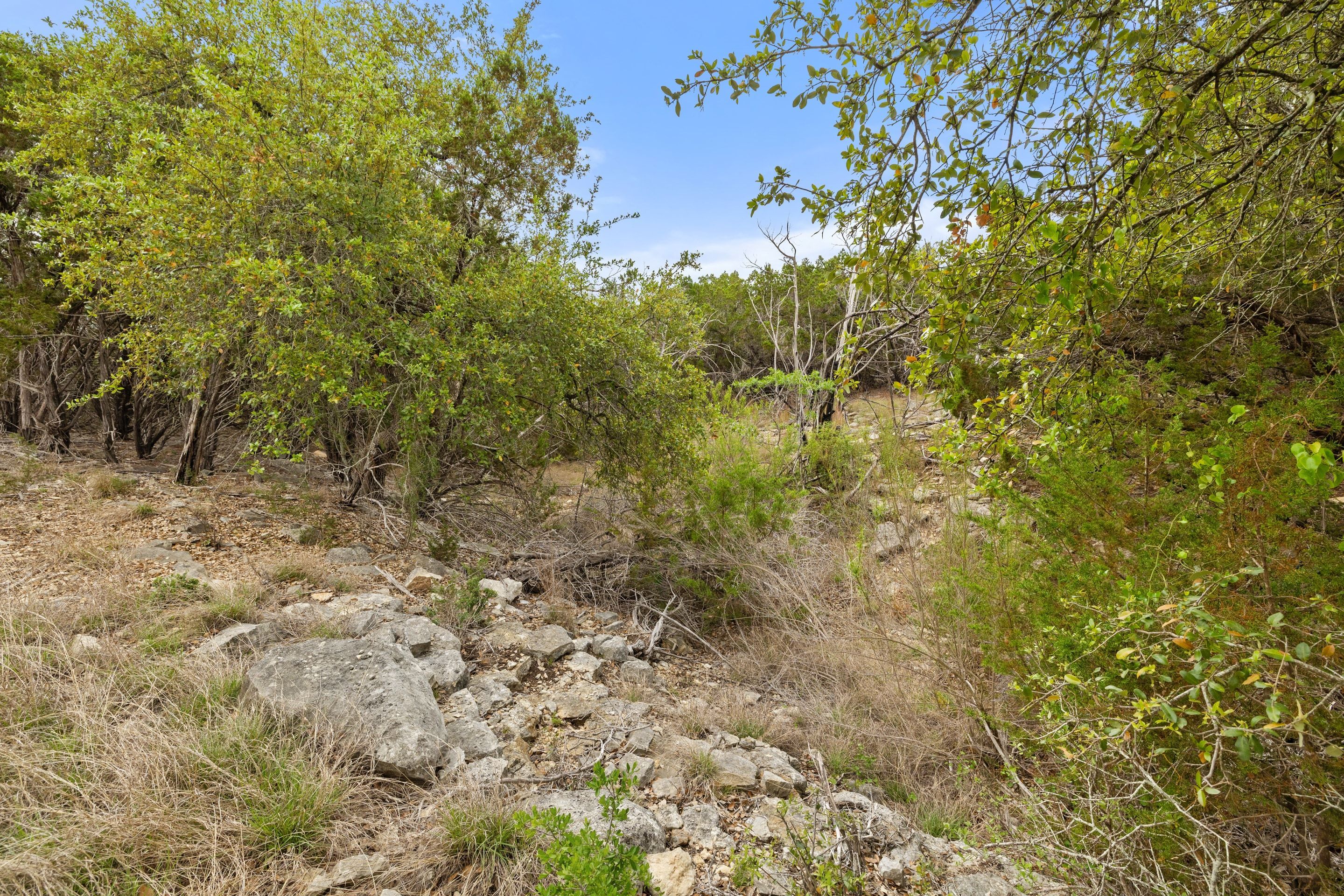  83 S Flat Rock Way - 5 Acre Lot in Gated Legacy Hills - 物件實景