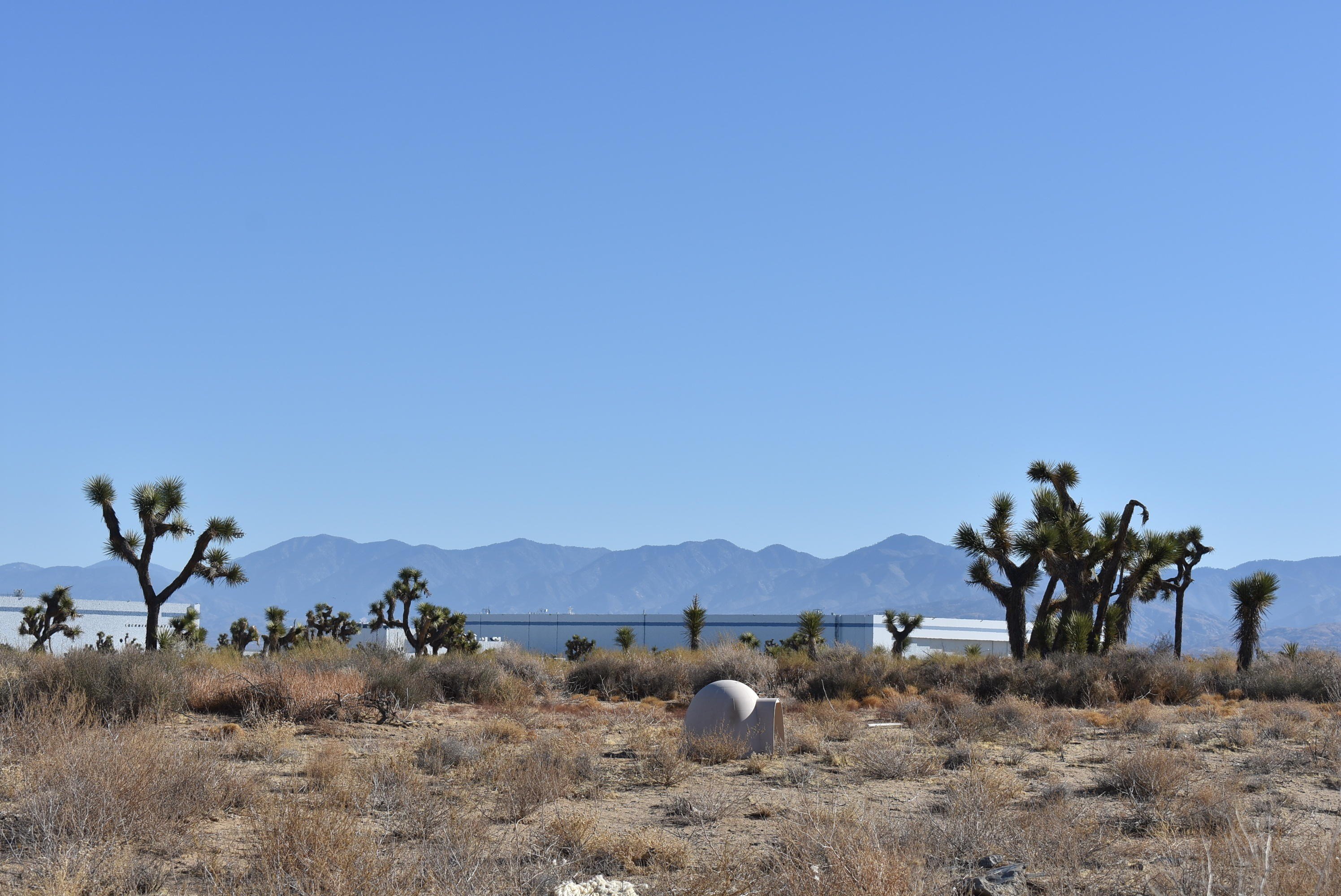 Palmdale, California, 93550, United States, ,Land,For Sale,1996497