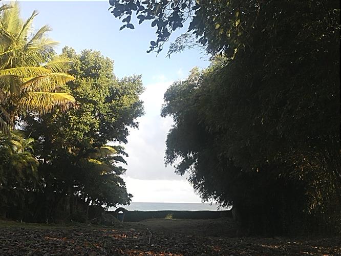 Sosua, DO, ,Land,For Sale,1164552