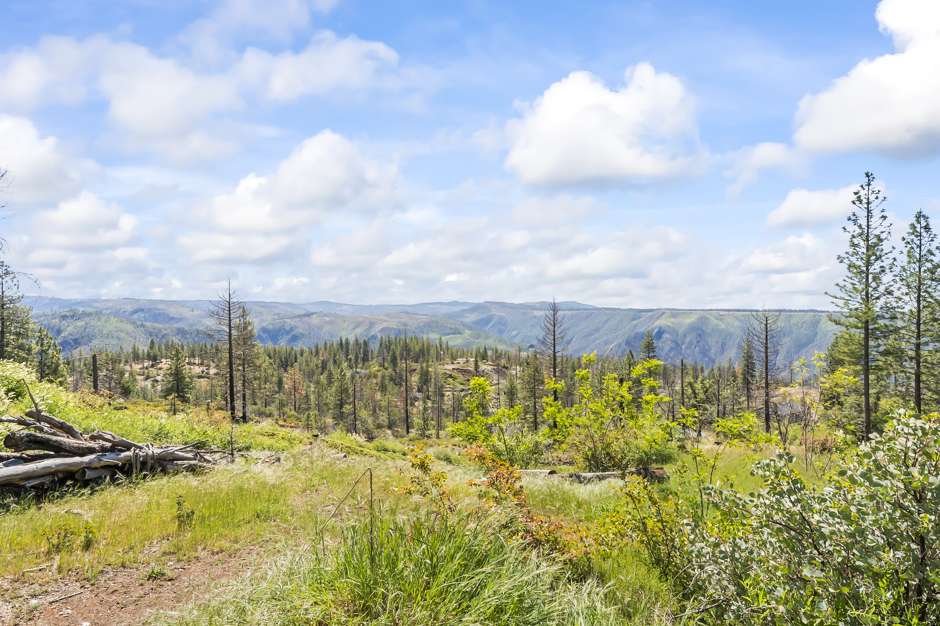  30155 Turkey Hill Road, Foresthill, CA 95631 - 物件實景
