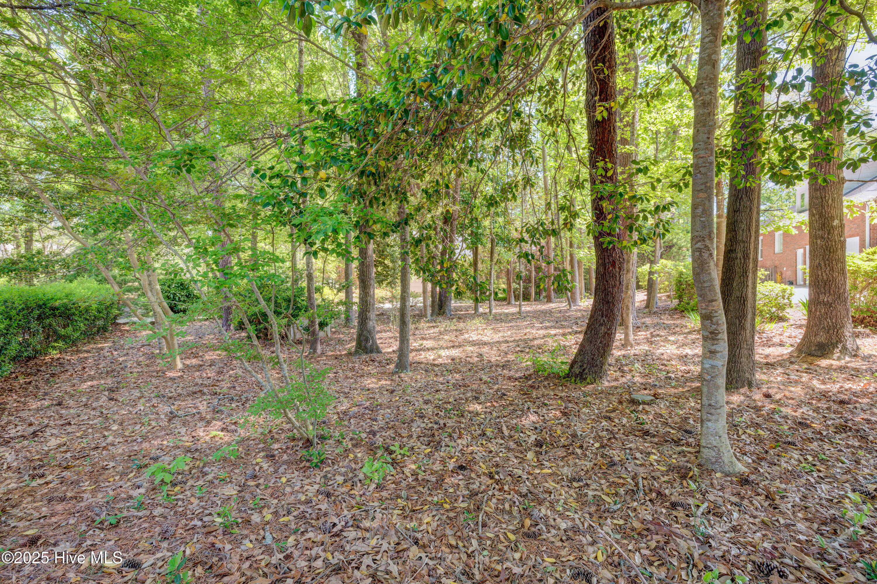 Wilmington, North Carolina, 28411, United States, 3 Bedrooms Bedrooms, ,2 BathroomsBathrooms,Residential,For Sale,1786296