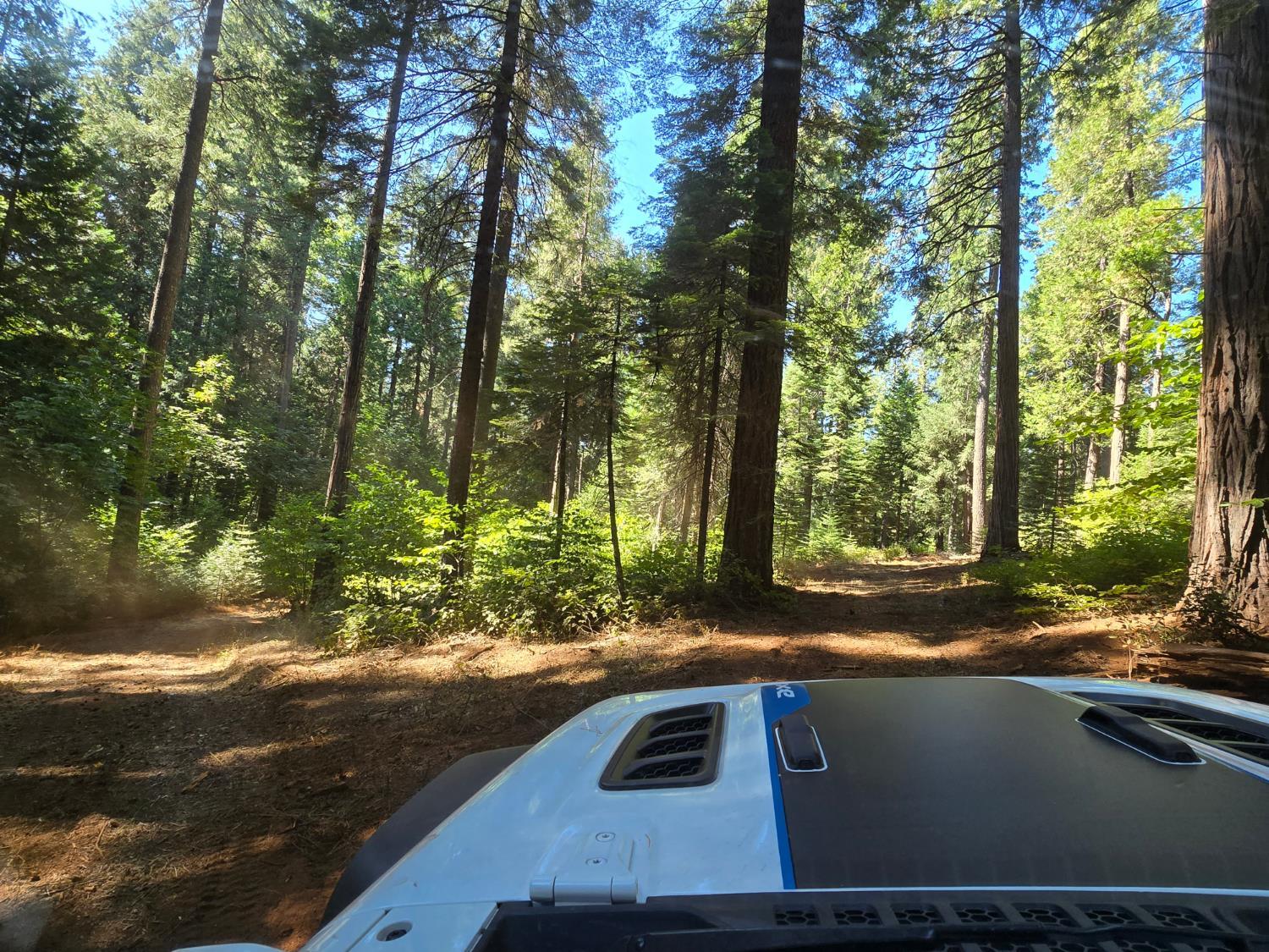 Pollock Pines, California, 95726, United States, ,Residential,For Sale,1982906