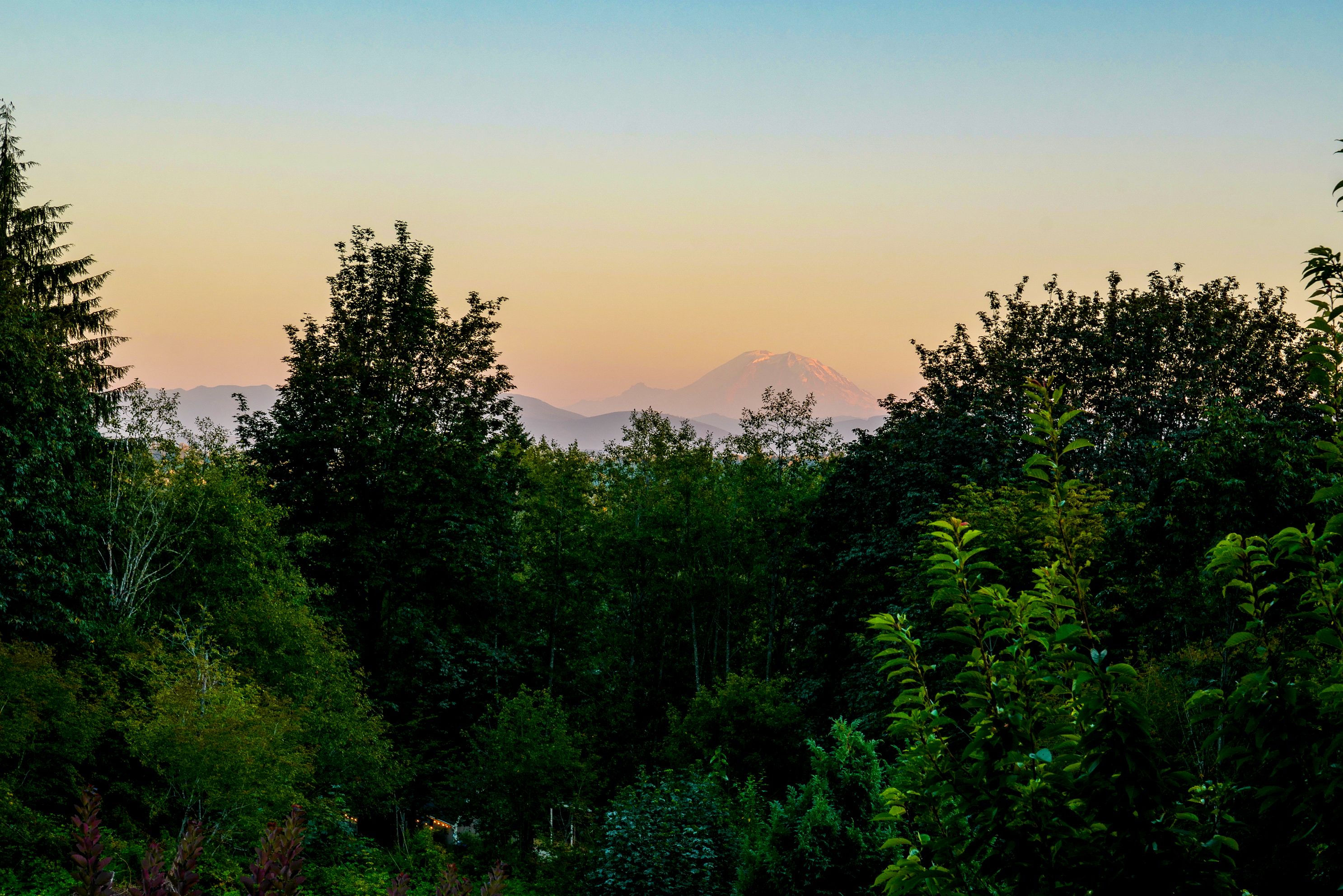  Mountain Glen Ranch  A Distinctive Northwest Estate with Montana Soul - 物件實景