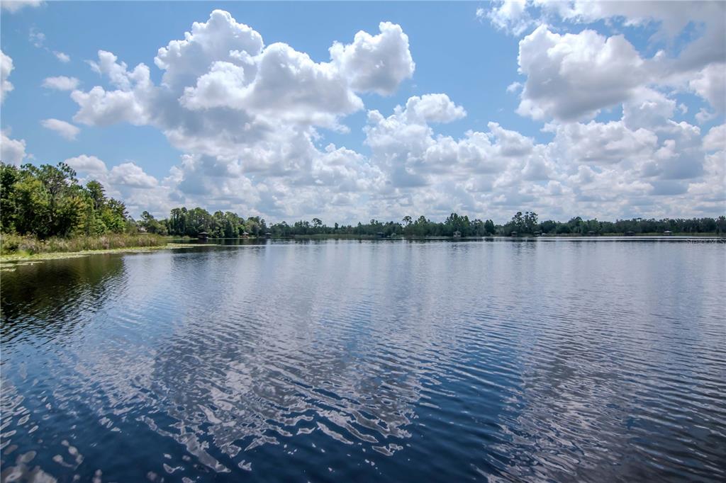 Land O Lakes, Florida, 34637, United States, 4 Bedrooms Bedrooms, ,3 BathroomsBathrooms,Residential,For Sale,1925583