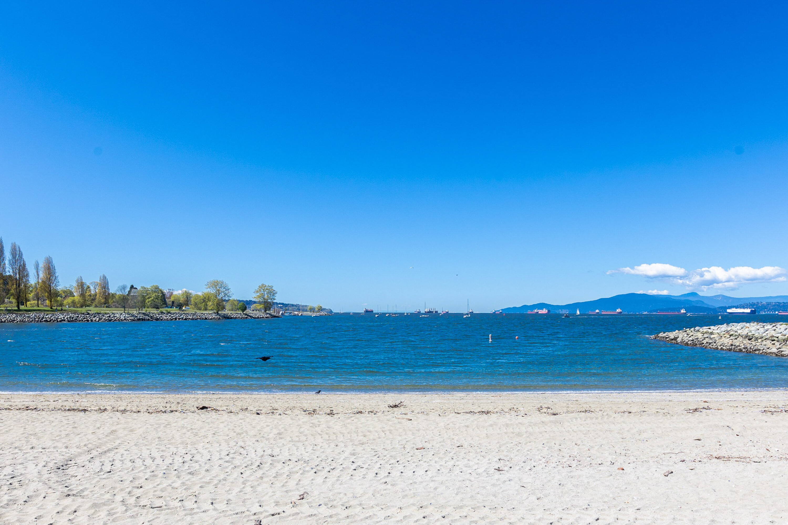  Vancouver, Greater Vancouver - 物件實景